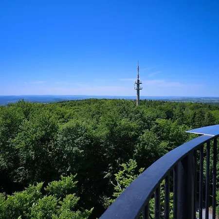 Отель Ungerberg