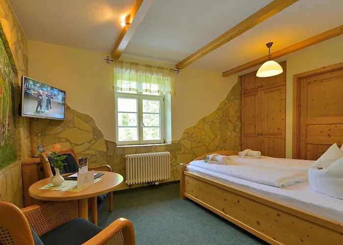 Ungerberg 3* Neustadt in Sachsen